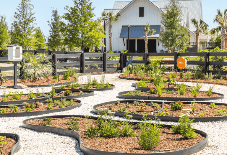 Children’s learning garden